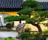 效果图