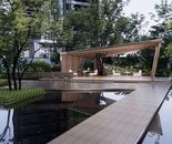 效果图