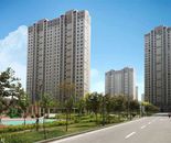 实景图