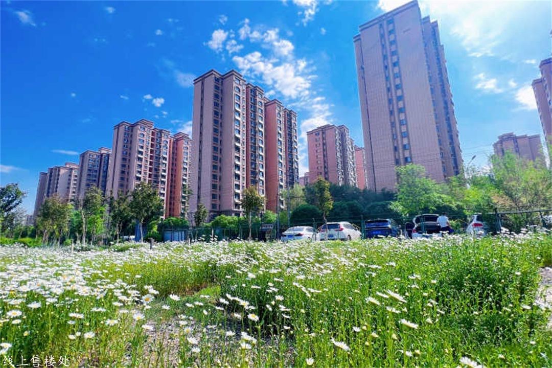 微信图片_20250522104830.jpg