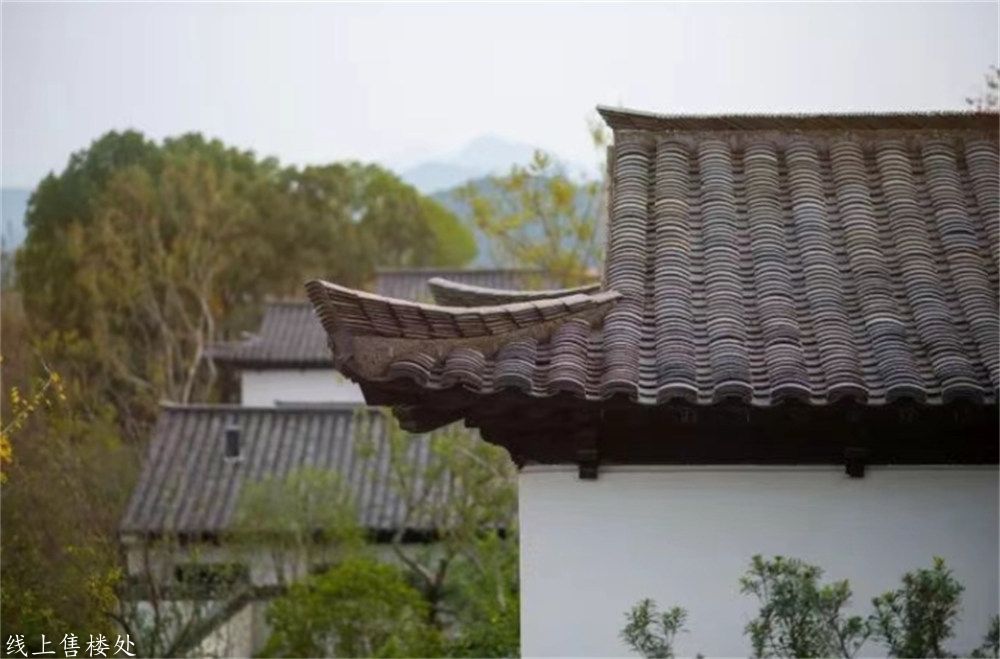 微信截图_20250524145118.jpg
